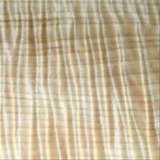 figured-maple